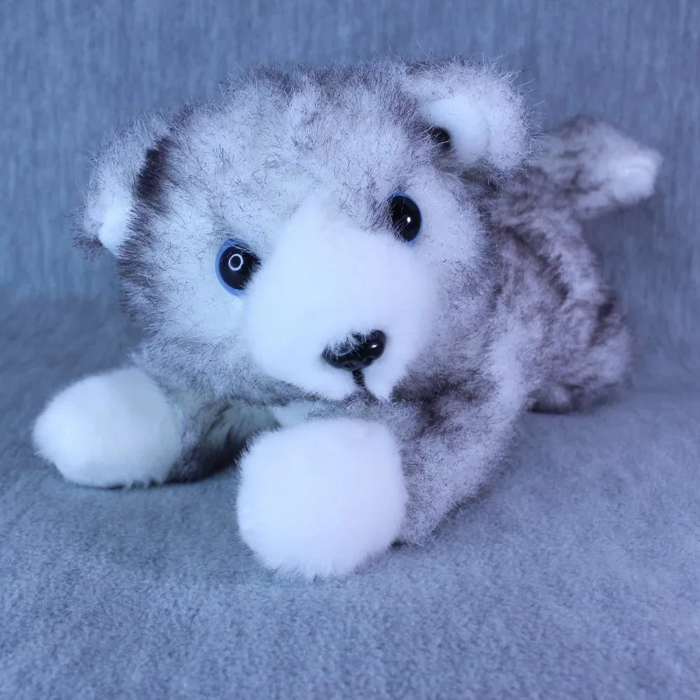 DOG SIBERIAN HUSKY 10